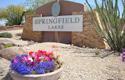 Springfield Lakes